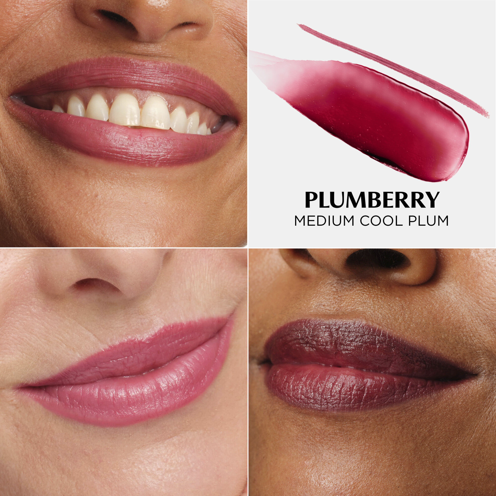 Do It All Lip Transformer
