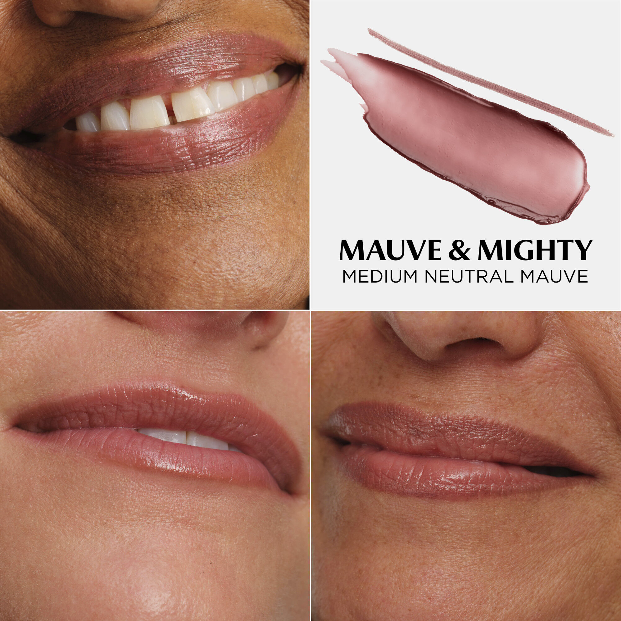 Do It All Lip Transformer