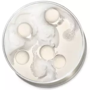 What are Peptides?