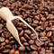 A photo of coffee beans and how caffeine can be great for your skin