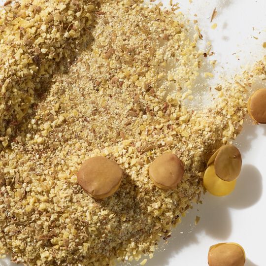 LENTIL SEED EXTRACT