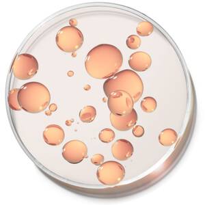 WHAT IS SQUALANE?