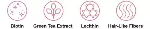 Four Pink Icons Representing Biotin, Green Tea Extract, Lecithin and Hair-Like Fibers
