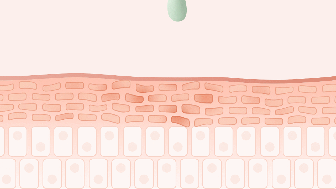 A gif of a droplet of green serum penetrating the skin barrier.