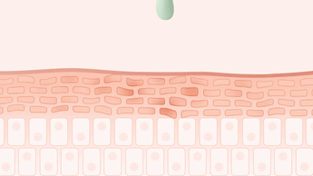 A gif of a droplet of green serum penetrating the skin barrier.