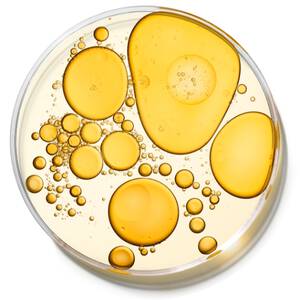 what are antioxidants?