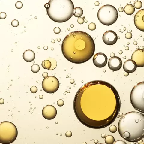 ANTIOXIDANTS