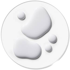 what are ceramides?