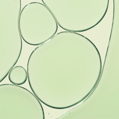 GREEN TEA EXTRACT