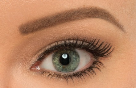 brow power universal eyebrow