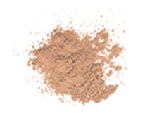 Celebration Foundation™ SPF 50+ Celebration Foundation™ SPF 50+