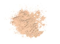 Celebration Foundation™ Duo Celebration Foundation™ Duo